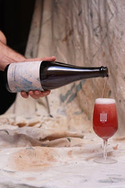 Wildflower "Bright Side" Gamay 2020 (750ml) Beer Oz Terroirs