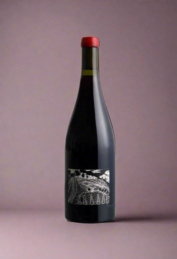Joshua Cooper "Doug's Vineyard" Pinot Noir 2023 Pinot Noir Oz Terroirs 