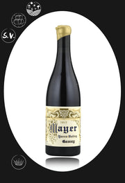 Mayer Gamay 2021 Gamay Oz Terroirs 