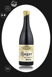 Mayer Gamay 2022 Gamay Oz Terroirs 