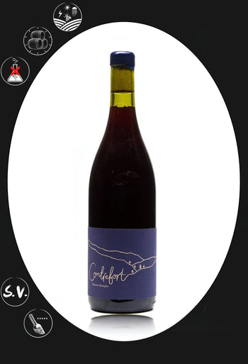 North “Contrefort” Pinot Meunier Rosé 2018 Oz Terroirs 
