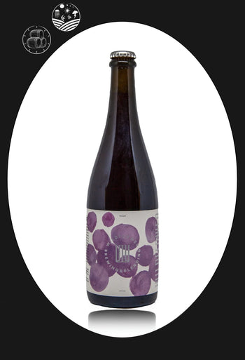 Wildflower "St Phoebe" Plum 2021 (750ml) Beer Oz Terroirs 